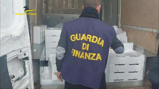 San Benedetto - Sequestrati 800 kg di pesce senza tracciabilità